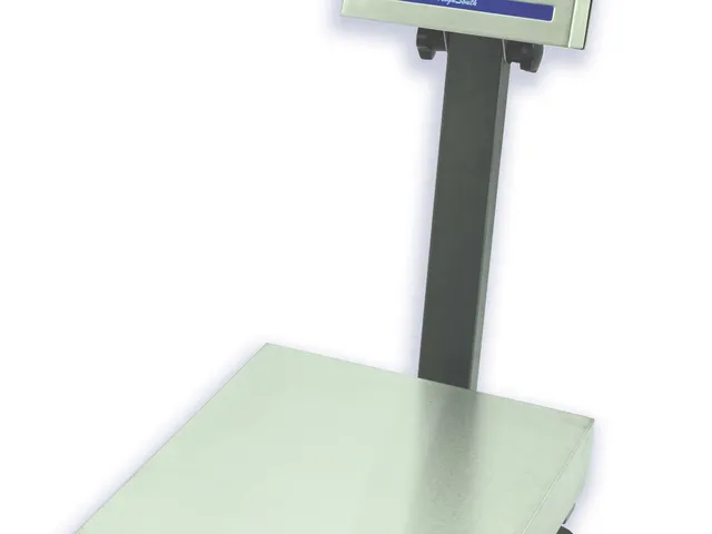 63ebc00db5496231SJScales_Weighsouth Industrial Standard Bench Scale