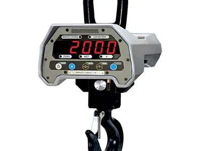 cas_caston_2_plus_crane_scale_n